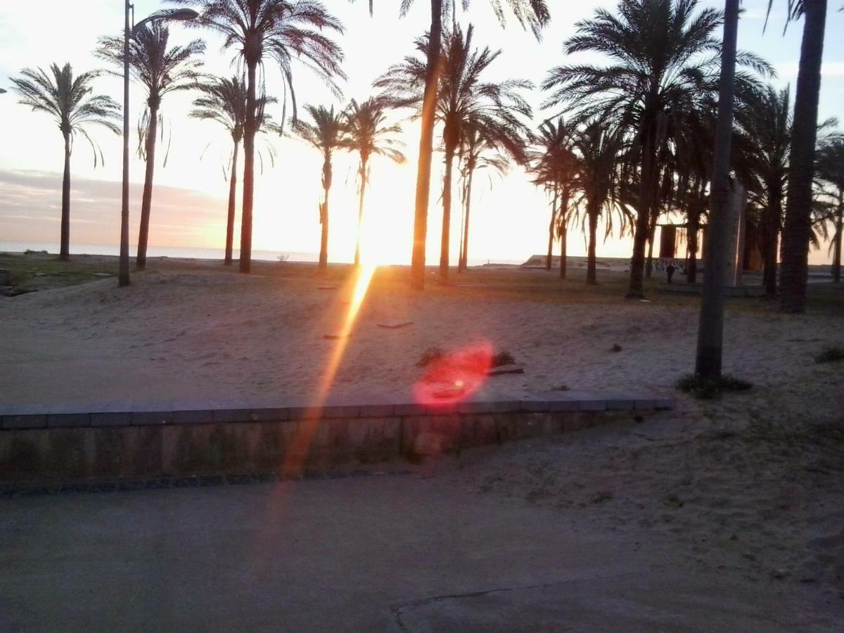 Sofia Appartement Valencia